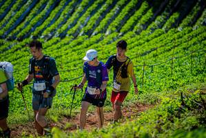 BIB: 
                            <button type="button" onclick="openModal(19161960)" class="btn btn-primary btn-sm float-right btn-popup" data-toggle="modal" data-target=".modal-high-quality">
                        <i class="fas fa-shopping-cart"></i> Add to Cart
                    </button>
                                            <button type="button" onclick="isThisMe(19161960, true)" class="btn btn-success btn-sm float-right btn-popup btn-isme hidden" data-toggle="tooltip" data-placement="bottom" title="นี่คือรูปของคุณใช่ไหม คลิกที่นี่เพื่อเอาเข้าอัลบั้ม">
                        <i class="fas fa-plus"></i> Add to album
                    </button>
                    <button type="button" onclick="isThisMe(19161960, false)" class="btn btn-warning btn-sm float-right btn-popup btn-isnotme hidden">
                        <i class="fas fa-ban"></i> Remove from album
                    </button>